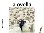 A ovella